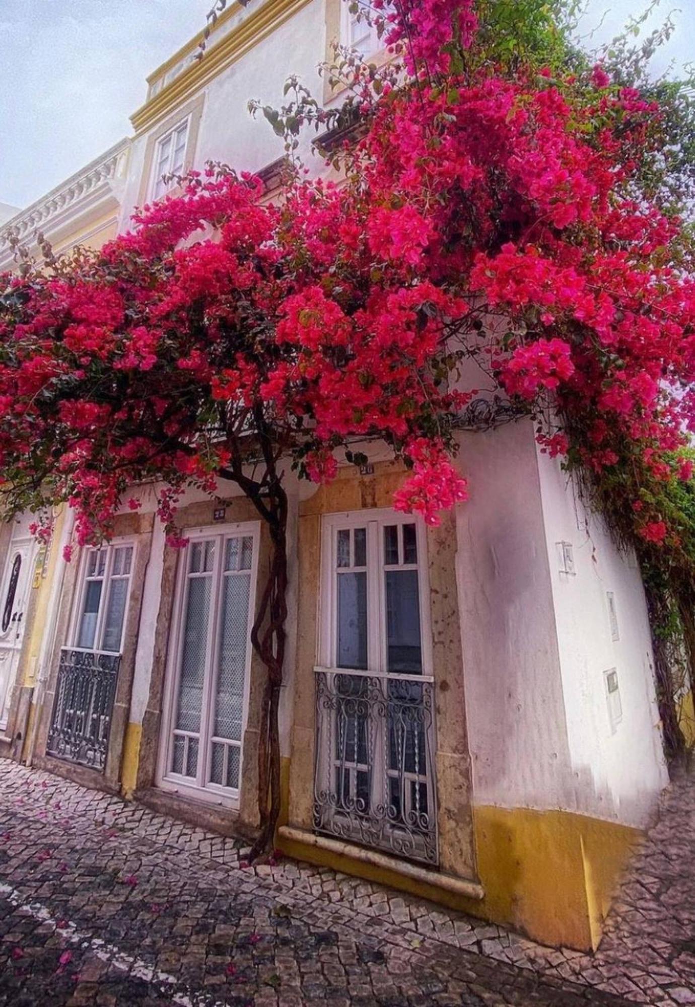 Stylish Studio Gilao In Taviras Historical Centre 外观 照片